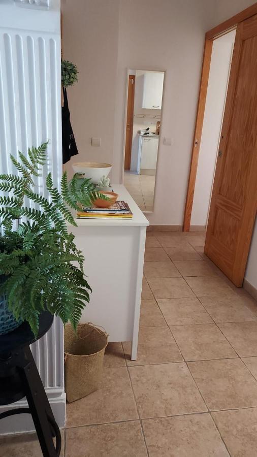 Apartament Ampolla Port 安波拉 外观 照片